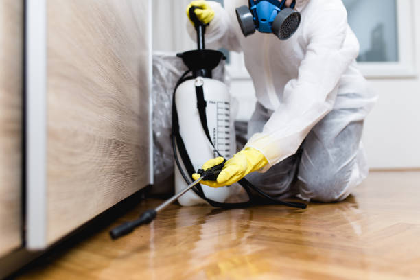 Pest Prevention Services in Derry, PA
