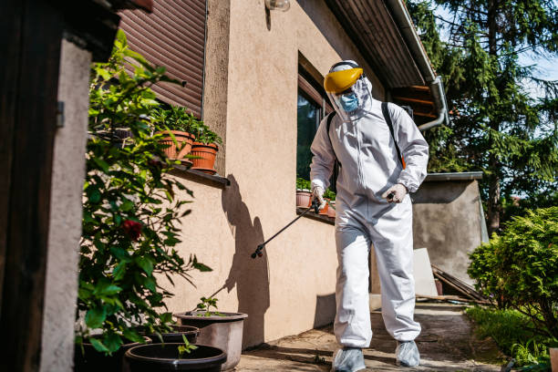 Best Wasp Removal Services  in Derry, PA