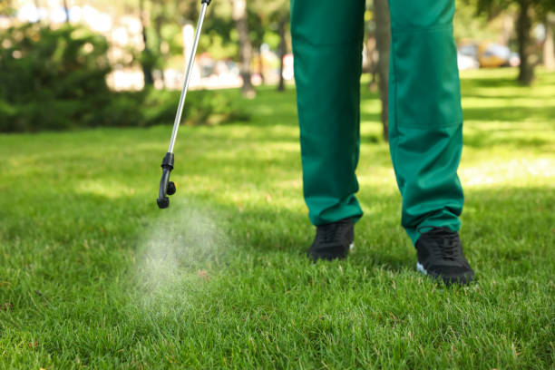 Professional Pest Control in Derry, PA