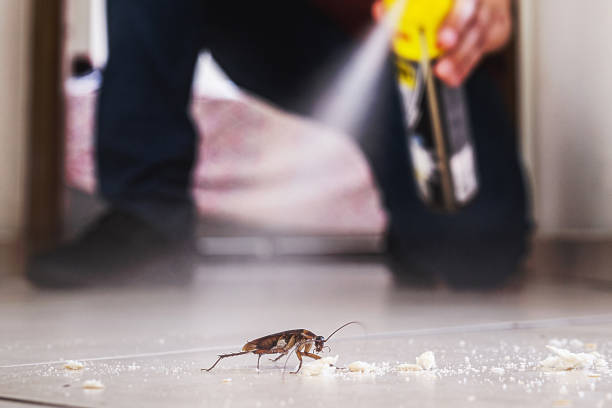 Best Best Pest Control Companies  in Derry, PA