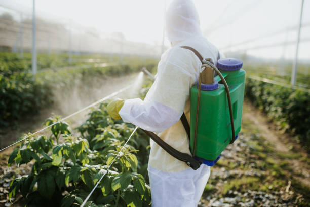 Best Exterminator Services  in Derry, PA